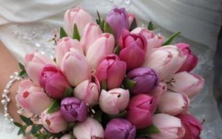 Свадебный букет из тюльпанов – самые оригинальные варианты Как сделать красивый букет из тюльпанов